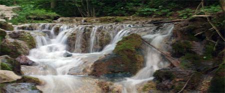 Blick auf die Sinterstufen - der Kalktuffbach Lillach